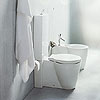 Sanitary Ware / Toilets and Bidets - Starck 1: View Details